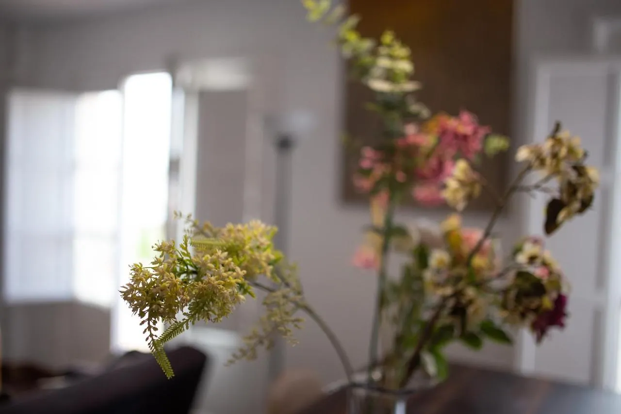 Apartment Seville Mirador Puerta Carmona